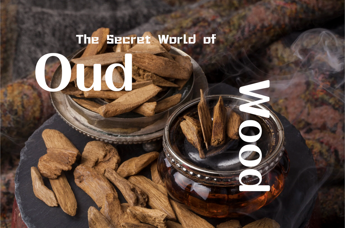 The Secret World of Oud